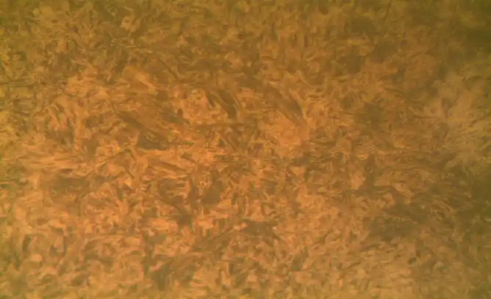 �ػ�������