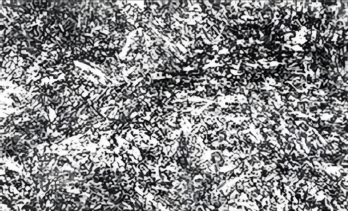 �ػ�������